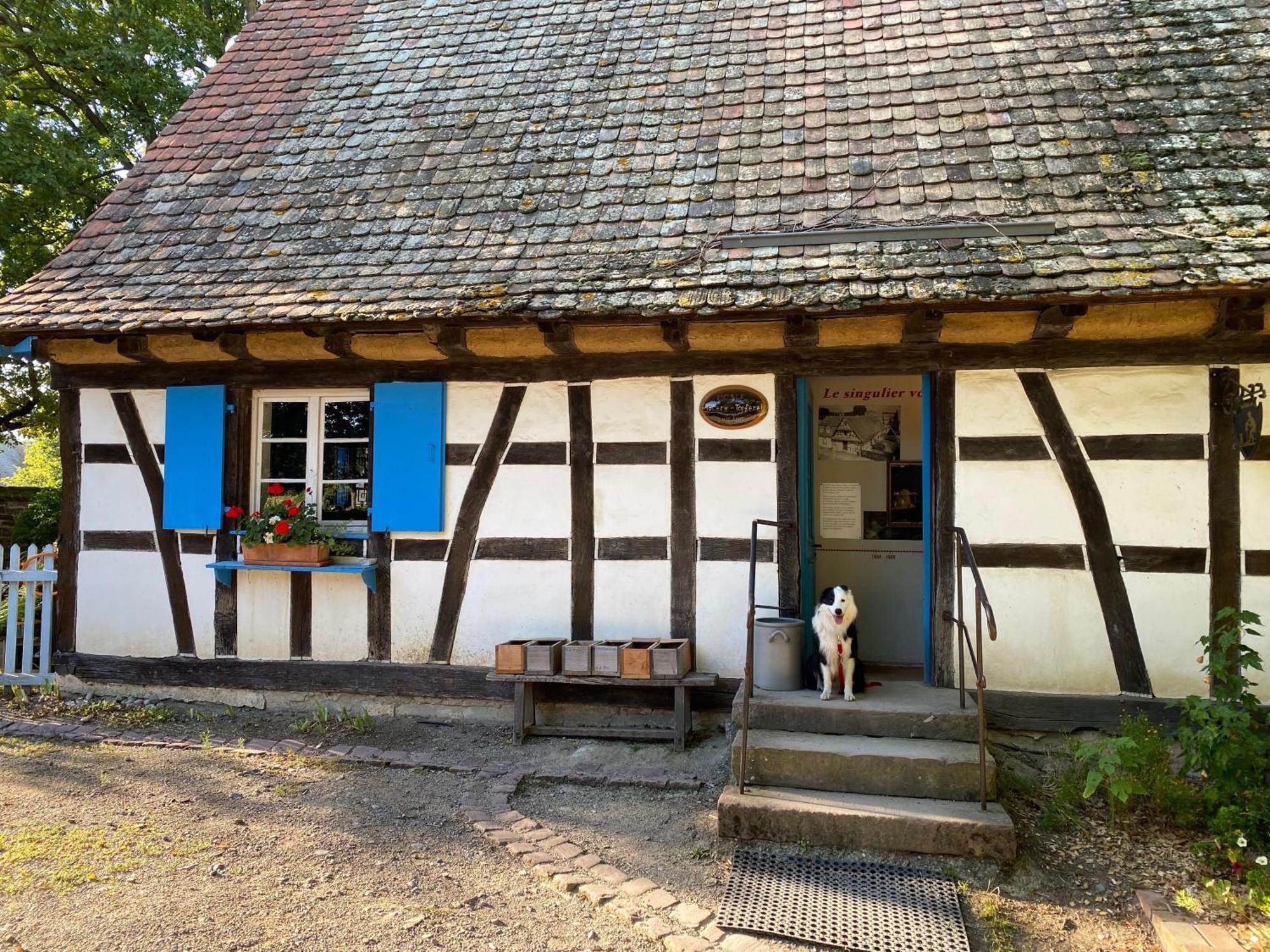 Kruth Chambres D'Hotes Des Cascades St-Nicolas מראה חיצוני תמונה